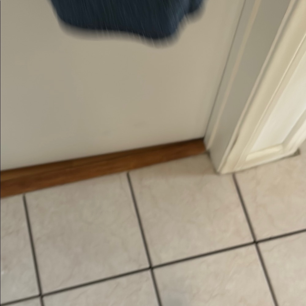 J. Crew High Rise Button-Fly Blue Jeans - Picture 4 of 5